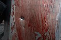 Schield covered with blood with a bullthole in it. Clashes in Kyiv, Ukraine. February 20, 2014