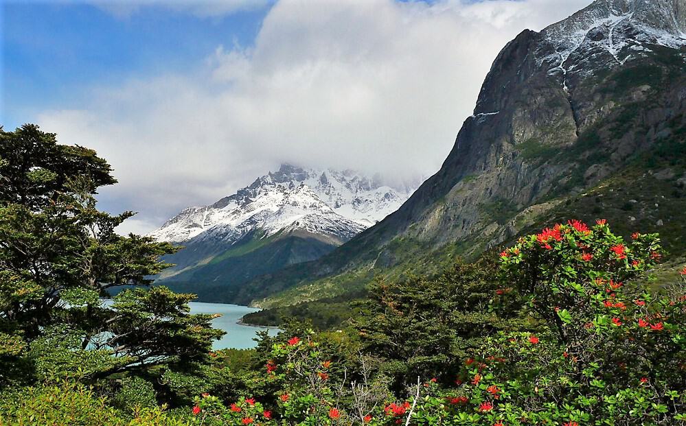 Patagonia view