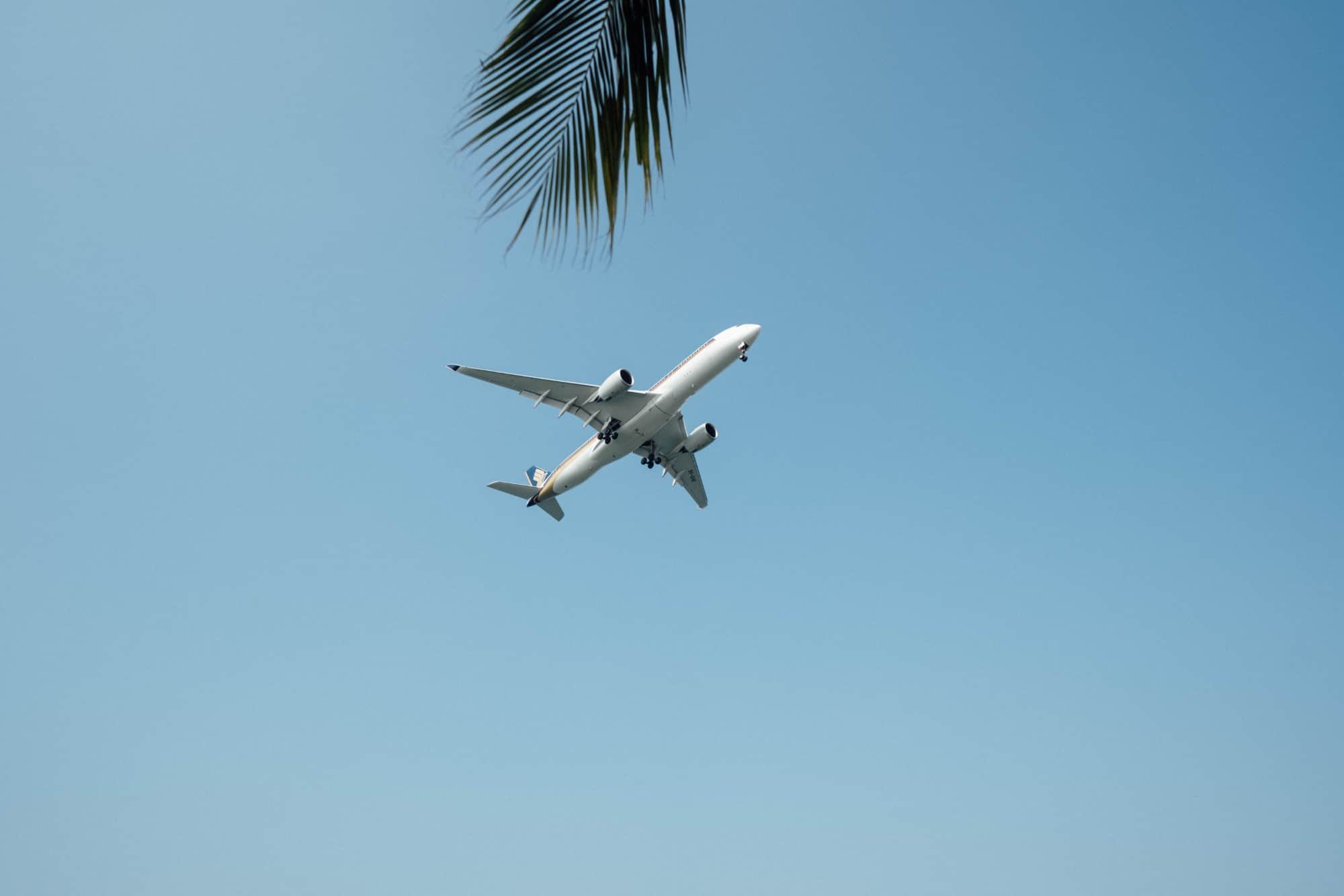 Plane in the air