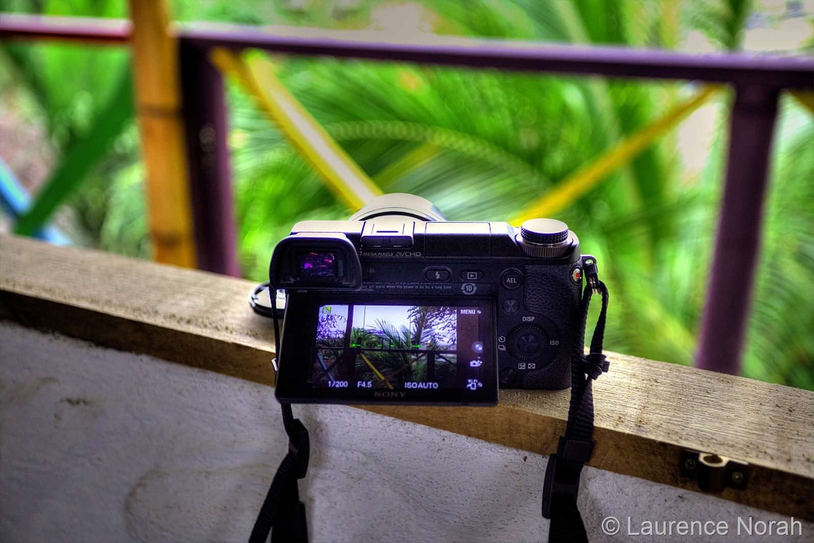 Sony NEX 6 - rear