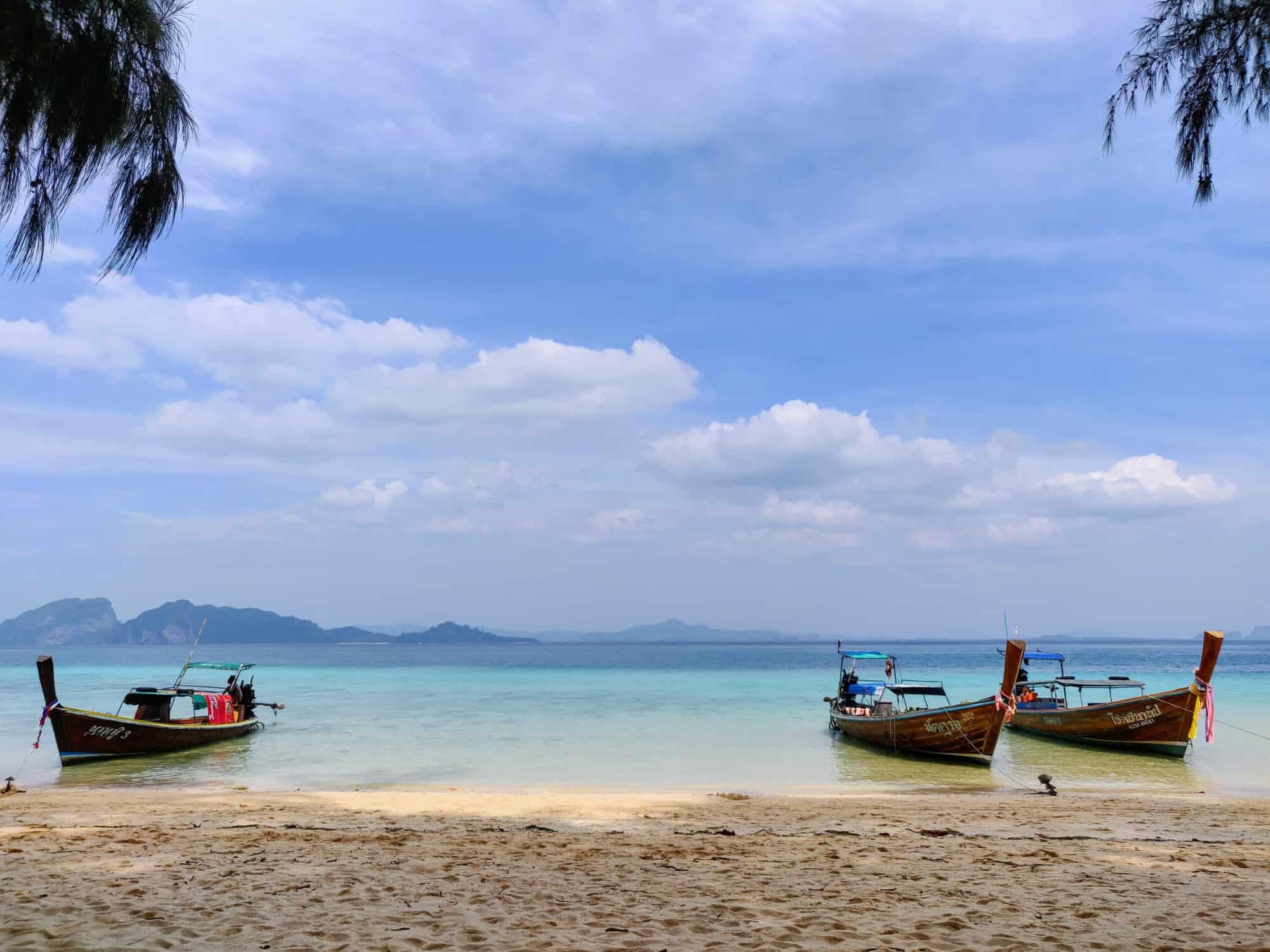 Three longtails, Thailand
